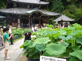 三室戸寺