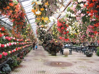 富士国際花園