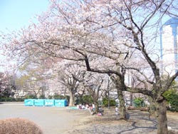 掃部山公園