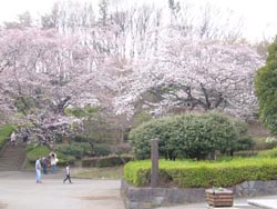 こども自然公園