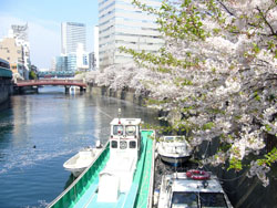 横浜大岡川