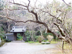 横浜三渓園