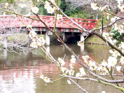 横浜三渓園