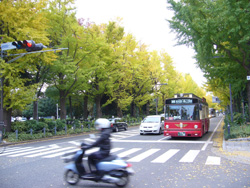 横浜山下公園