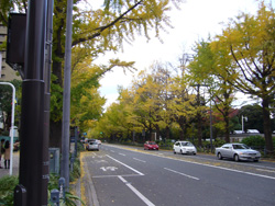 横浜山下公園