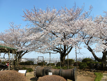 横浜観光