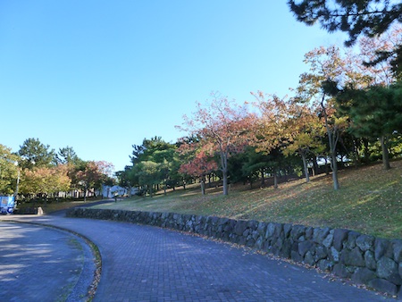 横浜八景島海の公園かき小屋